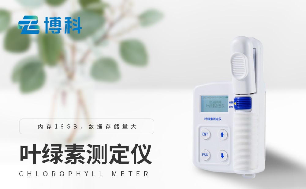 叶绿素测定仪 叶绿素测定仪