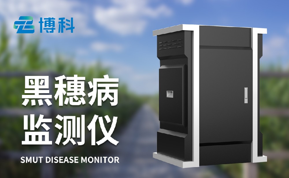 玉米丝黑穗病监测仪 玉米丝黑穗病监测仪