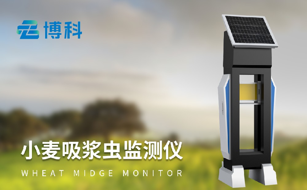 小麦吸浆虫监测仪器 小麦吸浆虫监测仪器