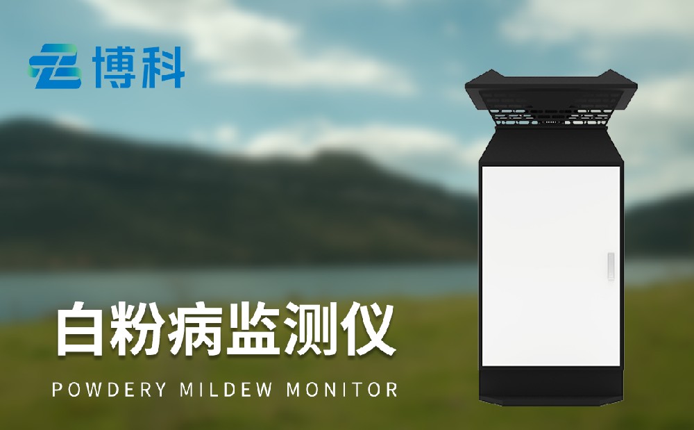 白粉病监测仪