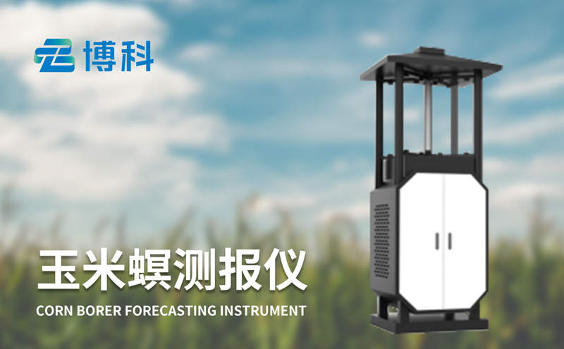 玉米螟在线监测系统