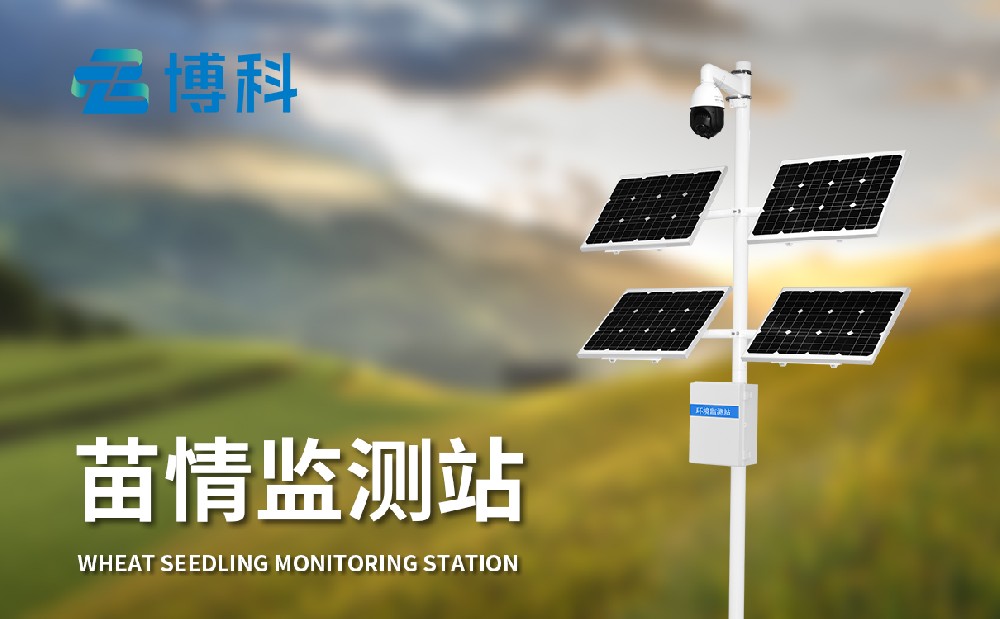苗情监测站
