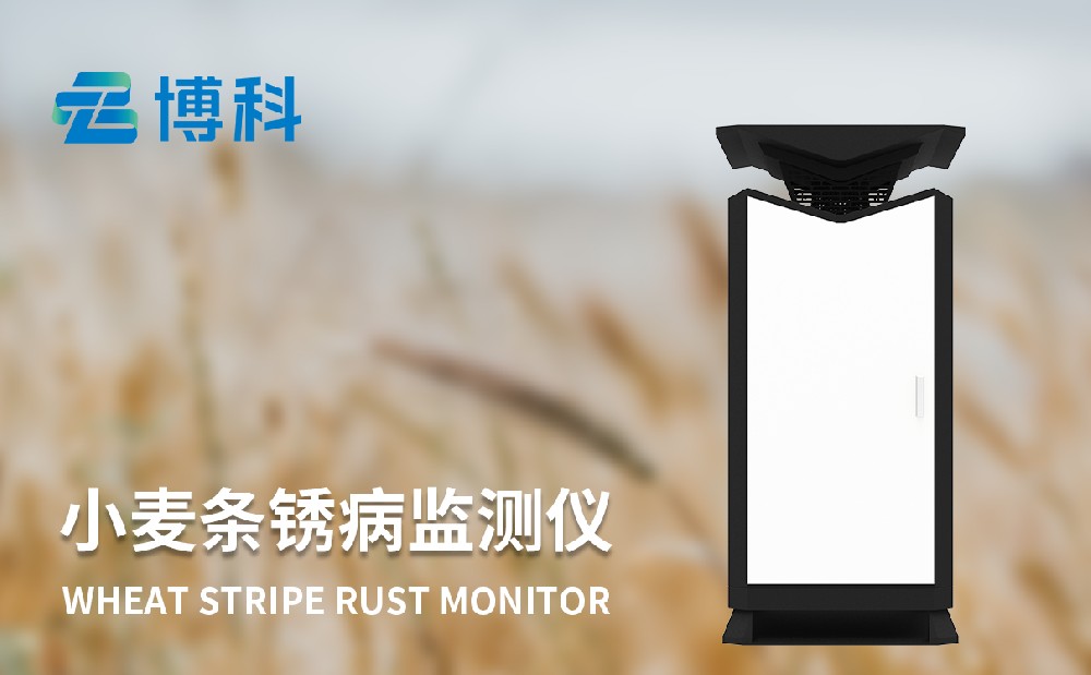 小麦条锈病监测仪器