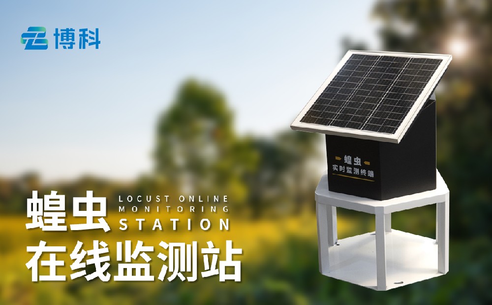 蝗虫实时监测系统